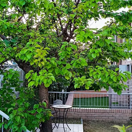 Apartman Il Rugino *